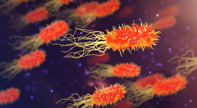 Facts about biology
