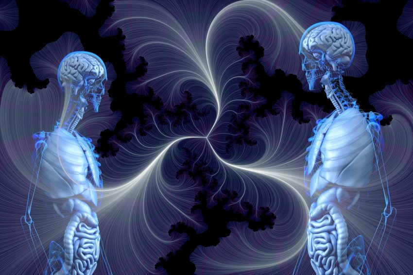 15 questions about human body