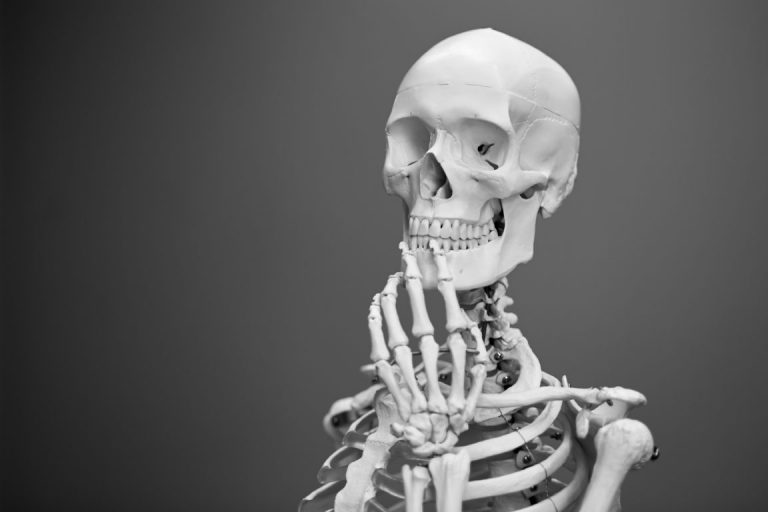15 questions every adult should be able to answer