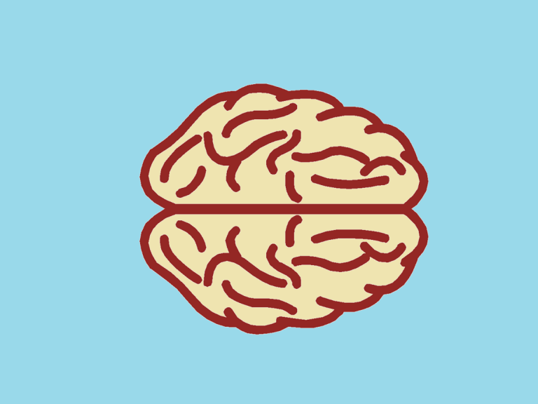 How much do you know about the most important organ in our body?
