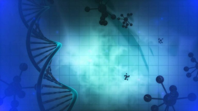 Can you pass this Science Quiz?