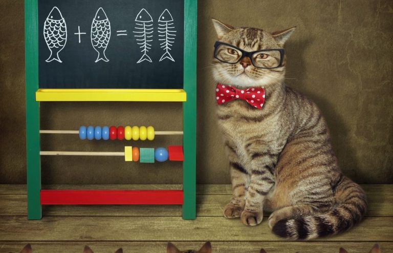 Math and logic QUIZ