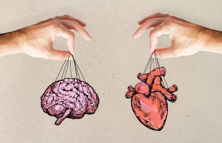 Human anatomy quiz