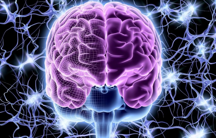 QUIZ: You can call yourself a true brainiac only if you answer these questions