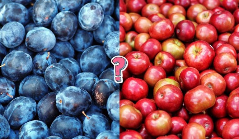 QUIZ: Can you name all of these fruits?