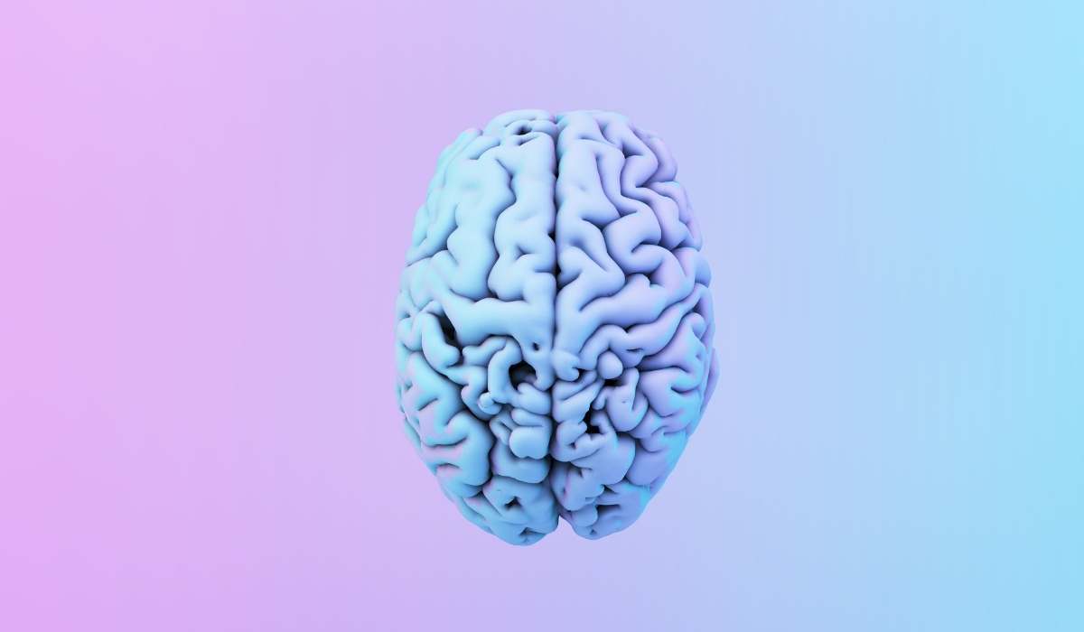 QUIZ: Only 1 in 64 people score over 10/15 in this general knowledge quiz