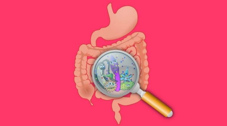 QUIZ: 15 human body questions