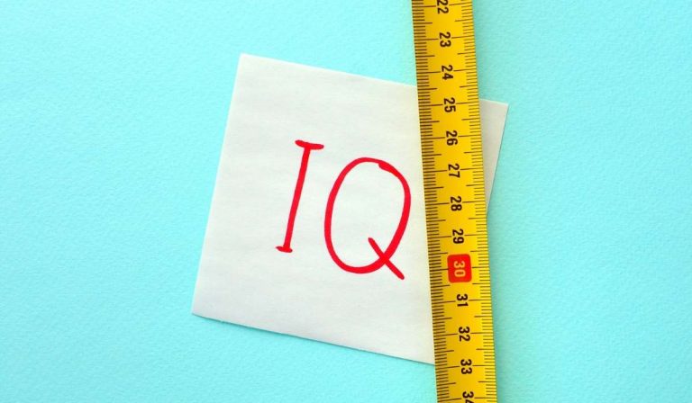 IQ TEST. Free online IQ test